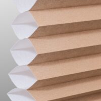 Biscuit PS310-007