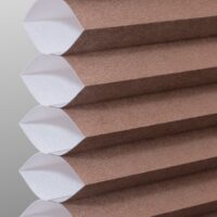Cocoa PS310-012
