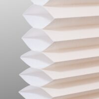 FR Winter White LF & BO