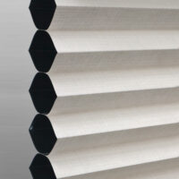 White Dove PS423-069